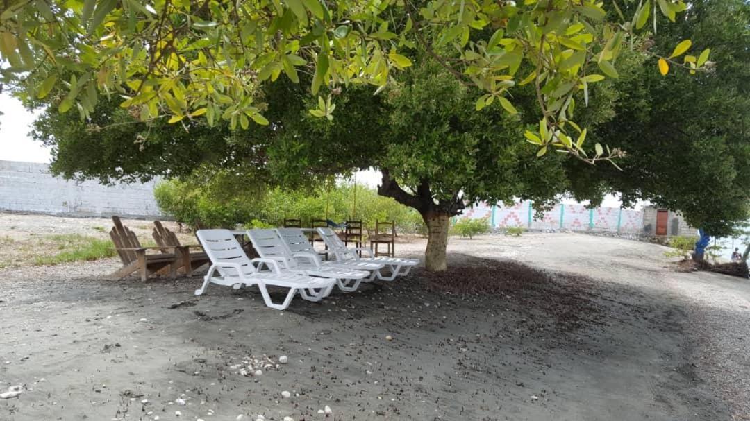 Evasion Beach Hotel Gressier Eksteriør billede